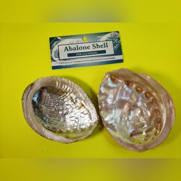 Abalone Shells Two For Cleansing Or Decor Ideas - Picture 12 of 12